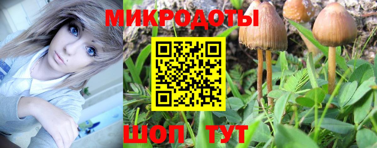 Верхняя Салда  Псилоцибиновые грибы ЛСД  Вход с VPN 