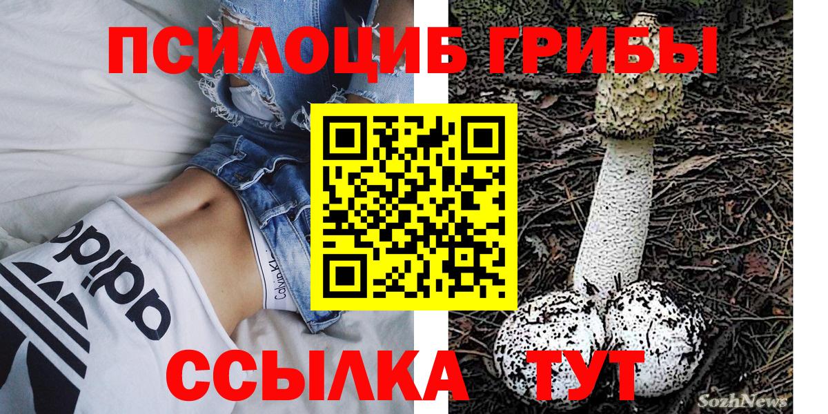 Псилоцибиновые грибы Psilocybe Верхняя Салда